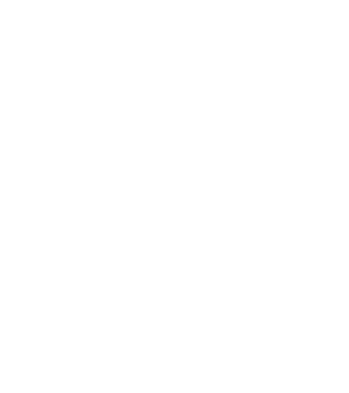 icon shopee
